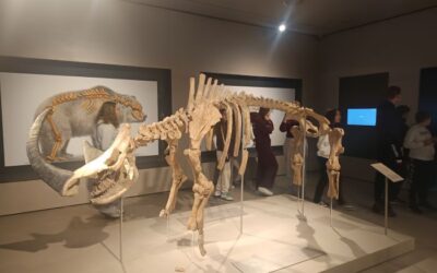 Terenska nastava sedmaša u Zagrebu