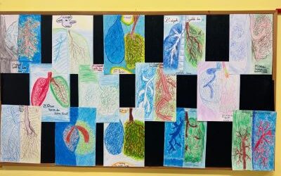 Čuvajmo vode, štitimo šume!